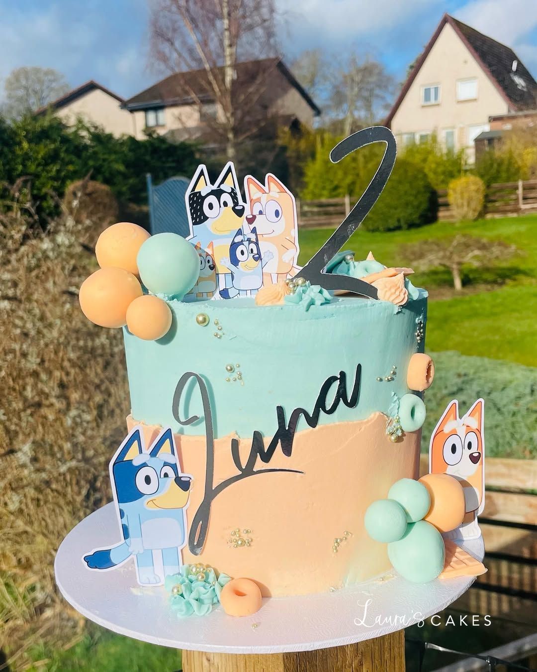 Celebration cake: A cat and dog theme on it