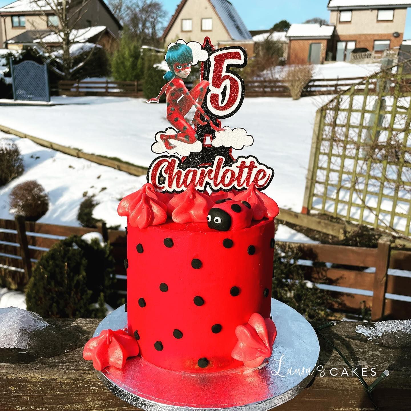 Celebration cake: A red cake with a ladybug topper on top