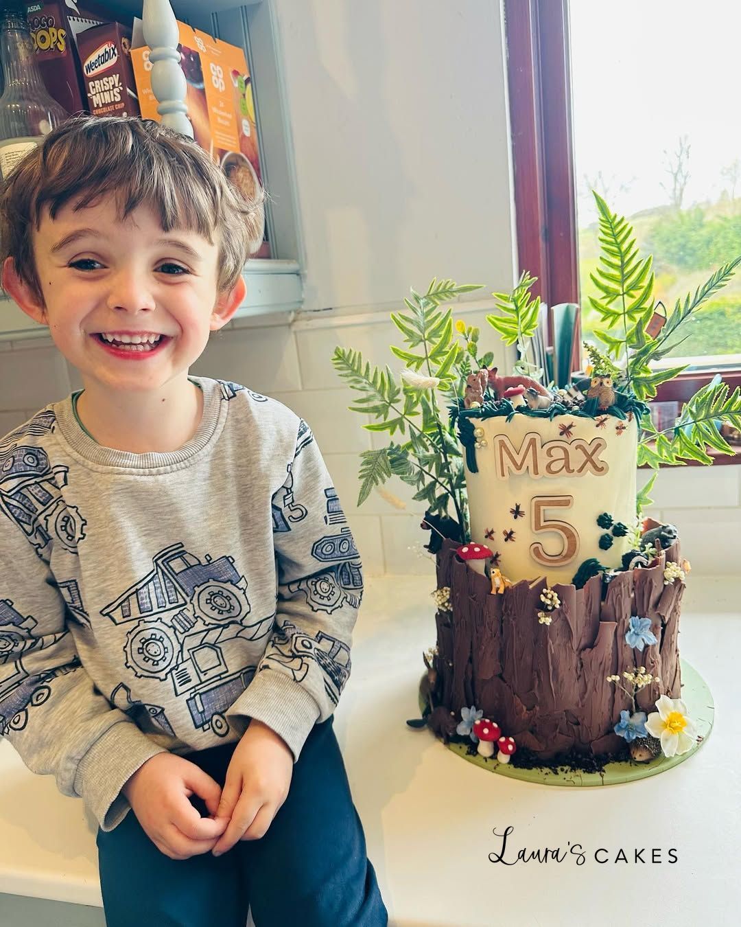 Celebration cake: A young boy sitting in front of a cake