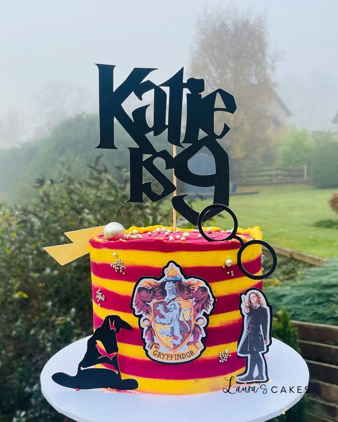 Celebration cake: Harry potter cake topper