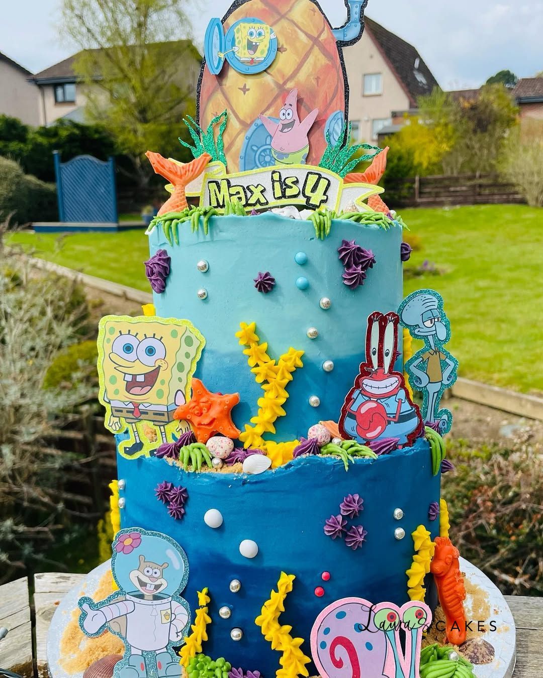 Celebration cake: Sponge sponge and friends cake